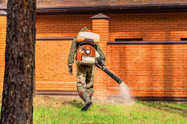Trusted Rodent Control service in Sugar Grove, IL - Nex Pest Control